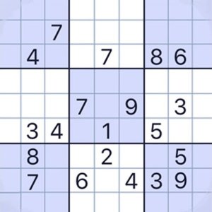 Master Of Sudoku Online Puzzle Game