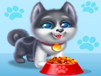 Lovely Dog Daycare: Pet Care Fun