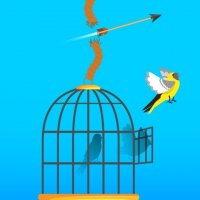 Feathered Friends Rescue Puzzle