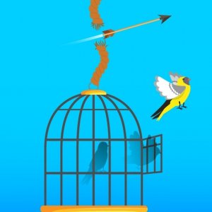 Free Birds Puzzle Game - Puzzle Game