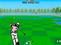 3D Golf Arcade Adventure
